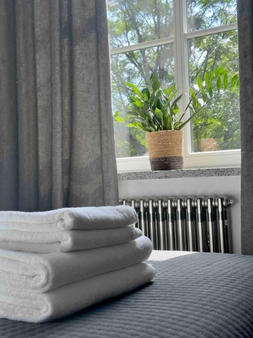 Loft Industrialny Przy Bulwarze Staromiejskim Διαμέρισμα Βρότσλαβ Εξωτερικό φωτογραφία